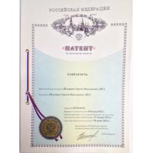 Банная печь